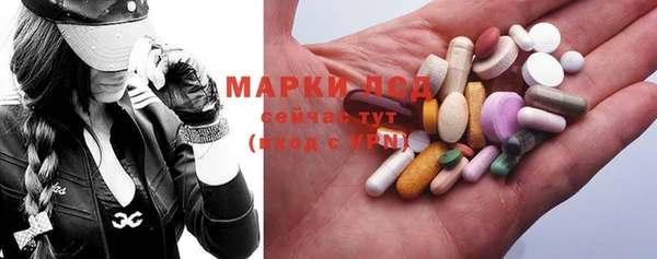 сатива Богородицк