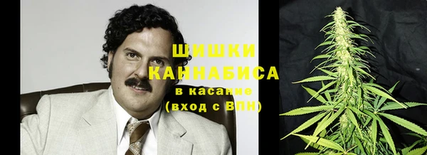 соль ск Бородино