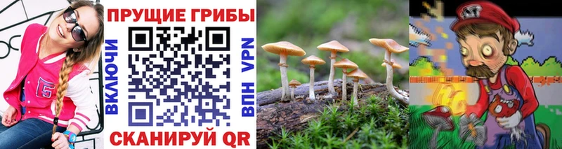 Псилоцибиновые грибы мицелий Микунь